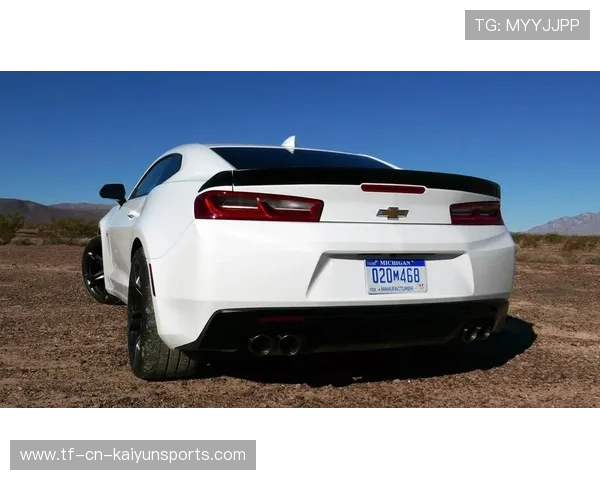 大黄蜂来袭，斑马军团危险了！，大黄蜂野马