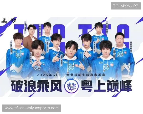 王者荣耀职业赛操作极致精彩，王者荣耀职业选手比赛视频