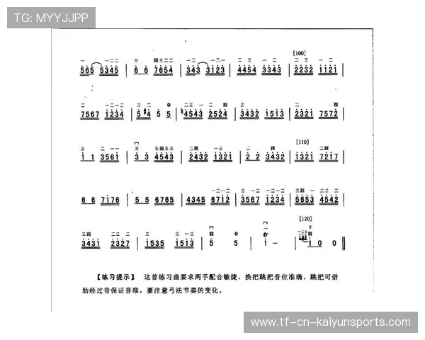 职业民乐演奏的指法：他是如何通过揉弦技巧表达情感的